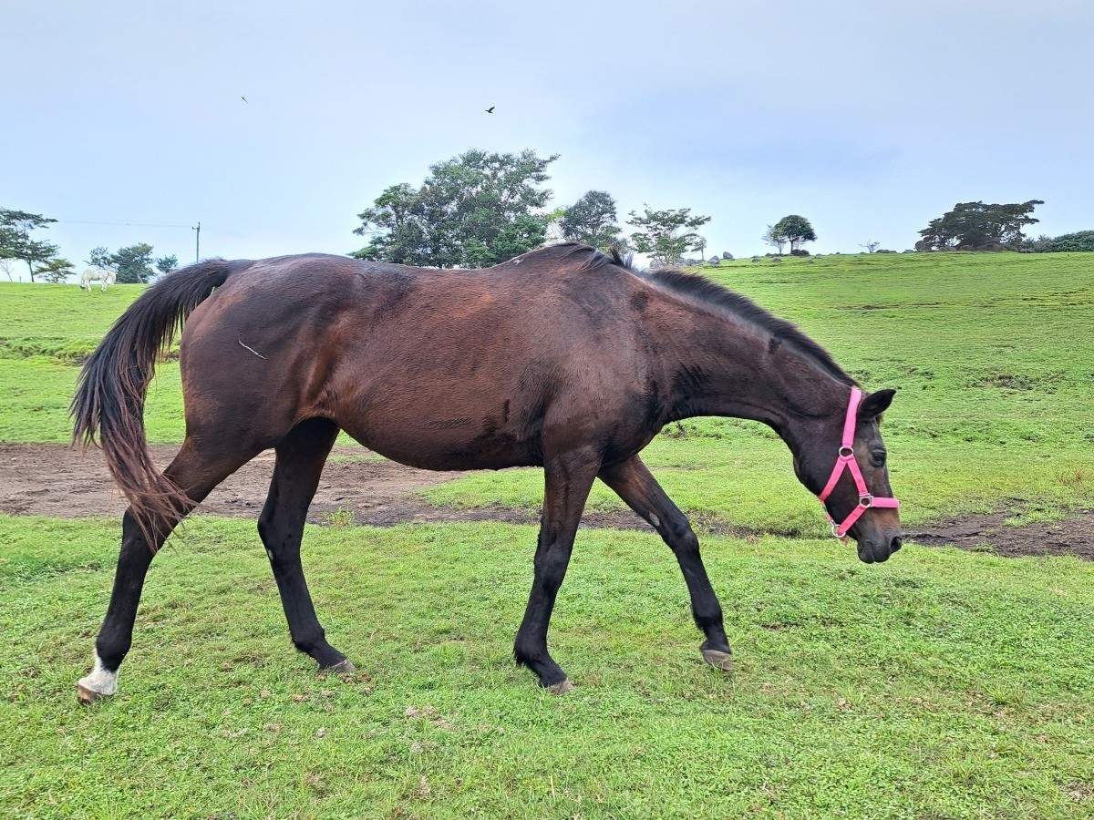 a8983e7b5c9fc33ee01be7ff704c4471-1761812132.jpg a8983e7b5c9fc33ee01be7ff704c4471-1761812132.jpg